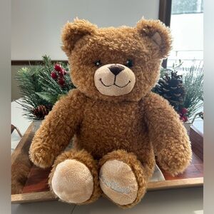 BAB Build A Bear BEARLIEVE Interactive Teddy